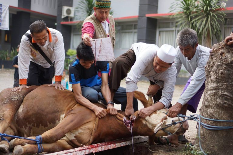 Galeri Foto “QURBAN UNTUK PENDIDIKAN 1439 H” SIT Insantama Bogor
