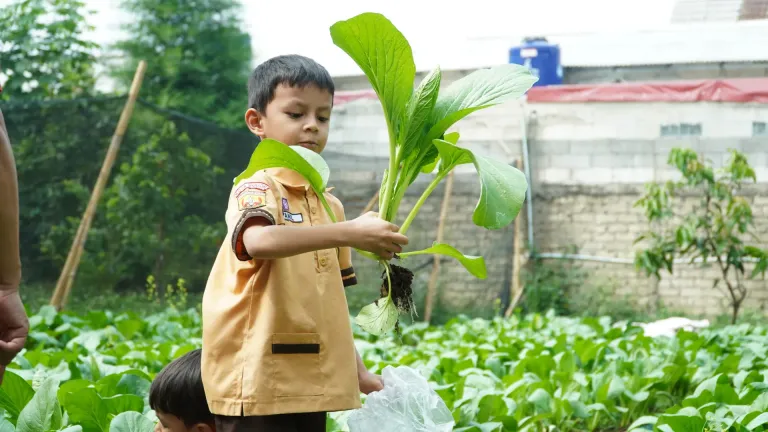 Siswa terlihat semangat dan senang ketika mereka memanen langsung hasil kebun.