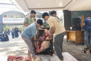 Semangat kebersamaan di antara para siswa saat proses penanganan hewan qurban setelah dipotong.